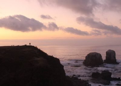 Playa Punta de Lobos