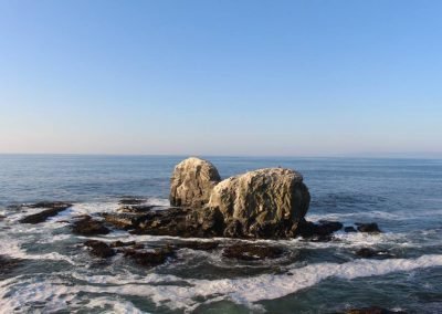 Playa Punta de Lobos