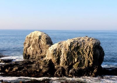 Playa Punta de Lobos