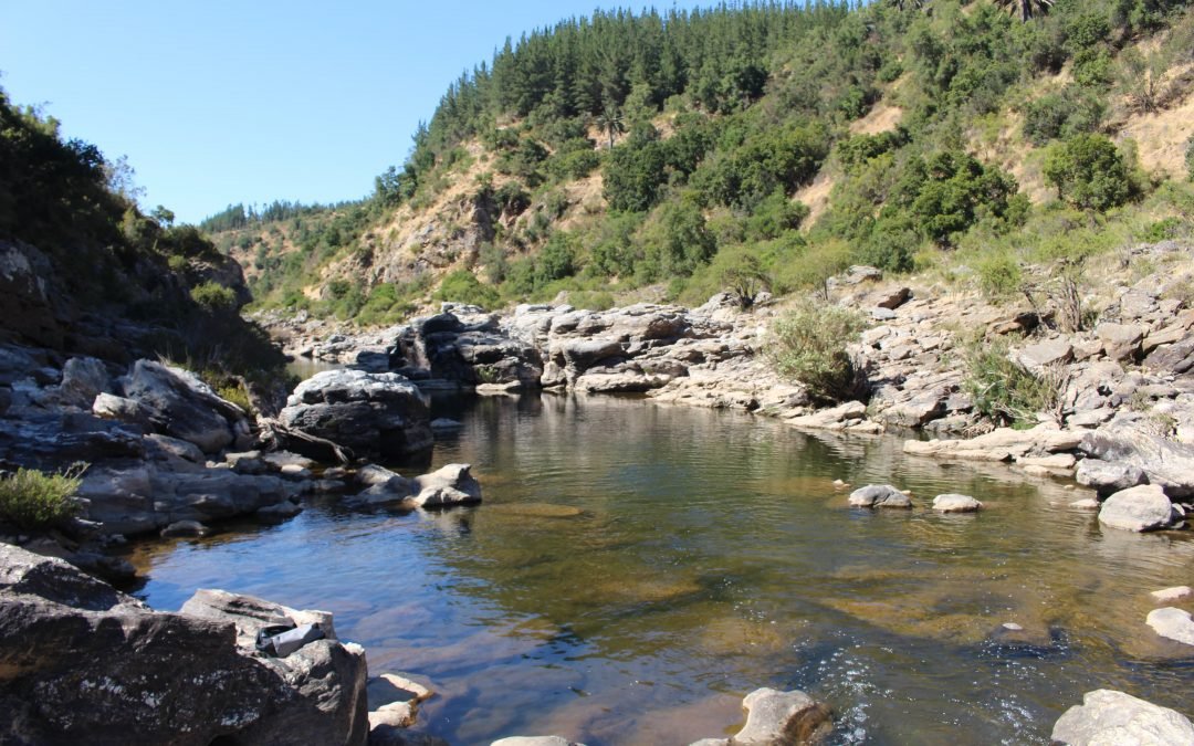 Poza del Encanto (Natural Creek)